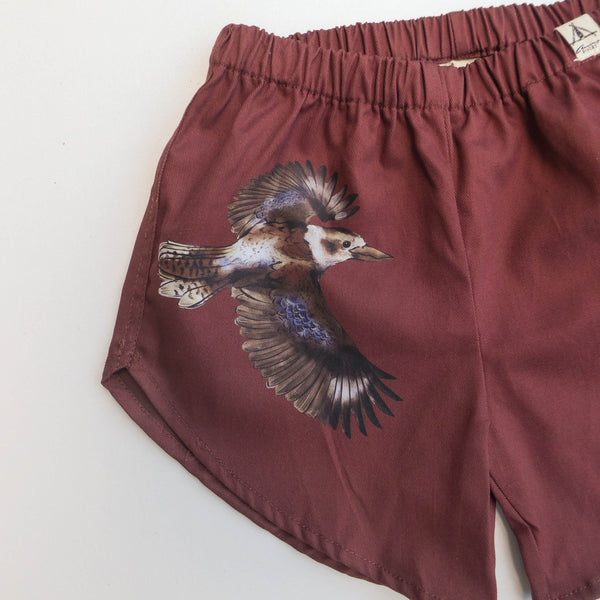 Organic Cotton Shorts - Kookaburra